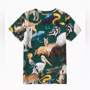 Molo Ralphie T-shirt in Organic Cotton